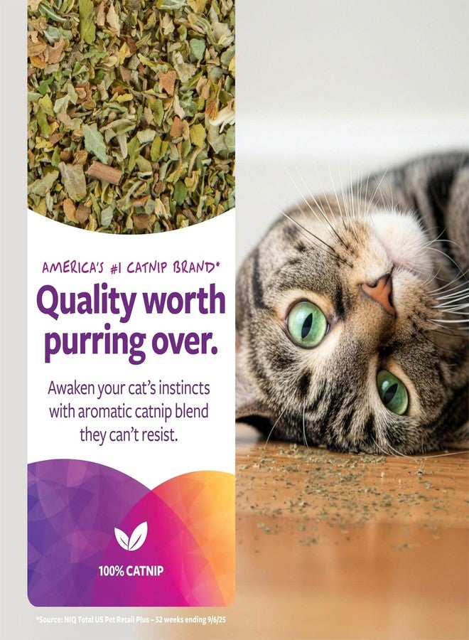SmartyKat Natural Catnip Canister, 100% Natural Cat nip for Cats, Premium Dried Catnip for Indoor Cats, Positive Training Aid for Play and Exercise, Resealable Shaker Bottle, 2 Ounces - Image 3